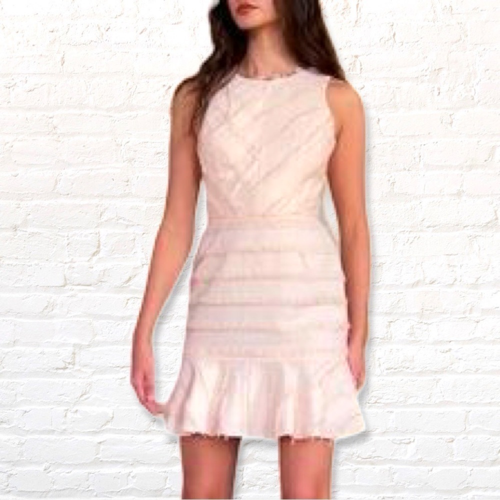 Adelyne Rae Blush PInk Eyelesh Fringe Mini Dress with Flounced Skirt Medium - Picture 2 of 9